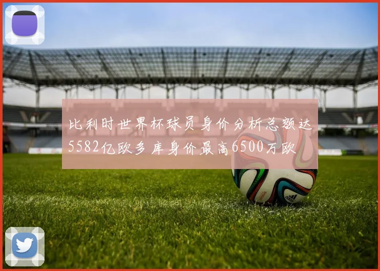 比利时世界杯球员身价分析总额达5582亿欧多库身价最高6500万欧