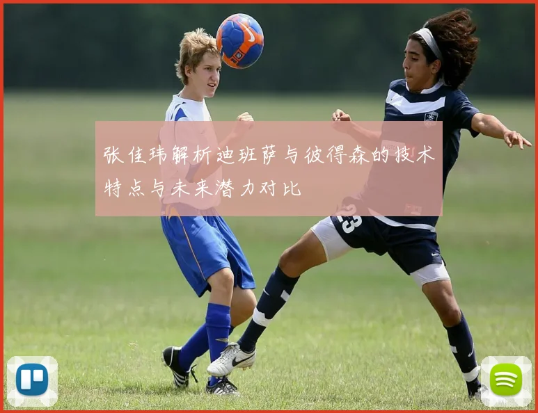 张佳玮解析迪班萨与彼得森的技术特点与未来潜力对比